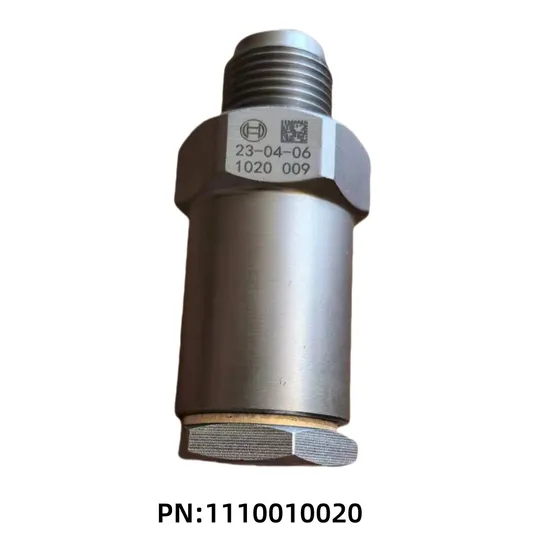 High-Pressure Common Rail Valve 1110010020