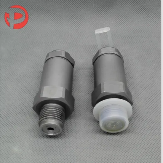 High Quality 1110010009 Pressure Relief Valve Factory Price