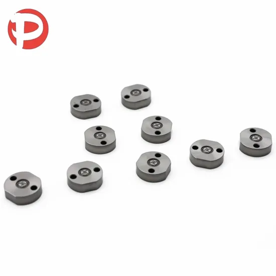 Durable Fuel Injection Valve Plate 320-123 High Efficiency