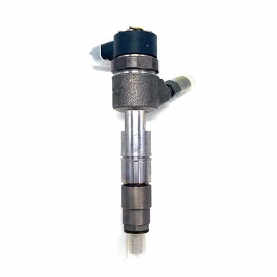 Erikc Nozzle Assy 0445110799 Common Rail Injection Pump Injector Quanchai Sx211215495