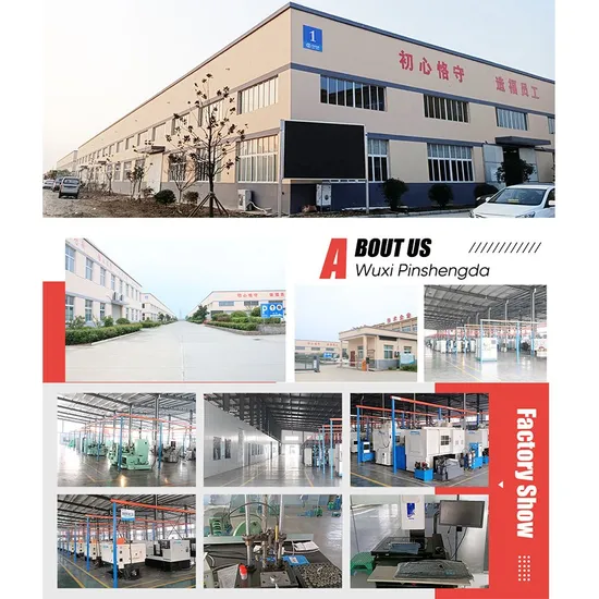 High-Efficiency-Diesel-Common-Rail-Injection-Pump-Plunger-Assembly