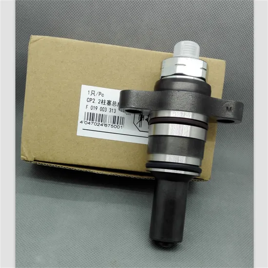 High-Performance-Diesel-Fuel-Injector-Pump-Plunger-for-Cp2-2