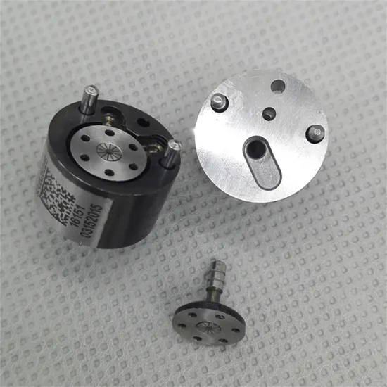 High-Performance-Fuel-Injector-Valve-for-Delphi-Uni-Series