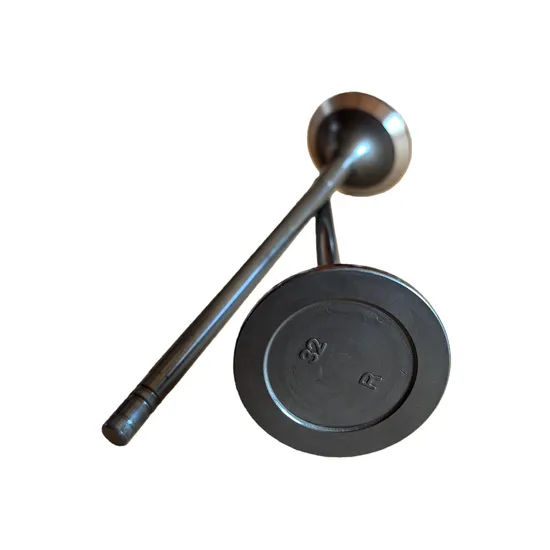 Mitsubishi-Heavy-Industries-S6r-S12r-S16r-S6r2-S12r2-S16r2-Engine-Intake-and-Exhaust-Valves-Set-32504-30100