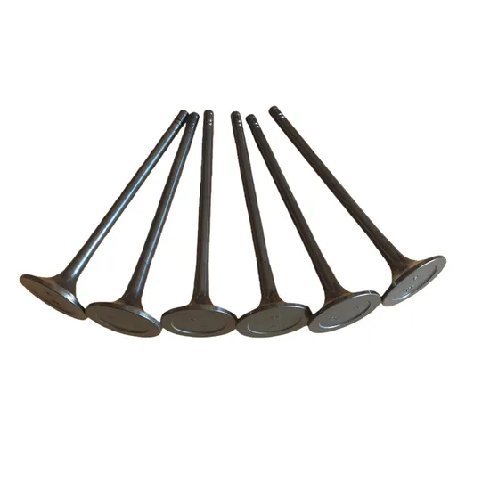 Mitsubishi-Heavy-Industries-S6r-S12r-S16r-S6r2-S12r2-S16r2-Engine-Intake-and-Exhaust-Valves-Set-32504-30100
