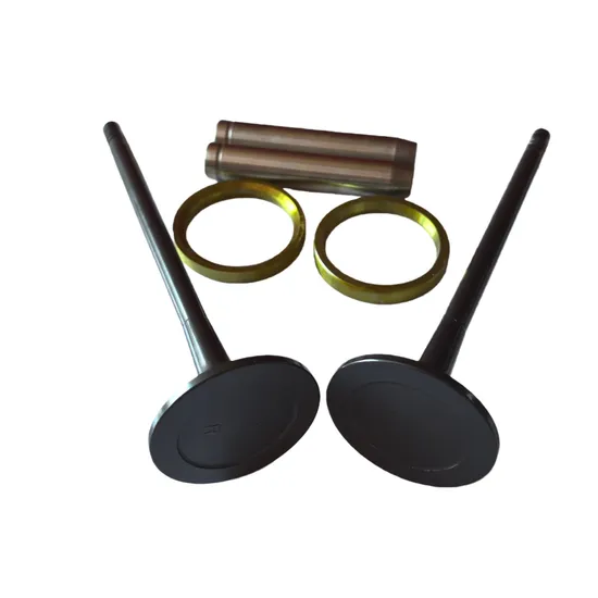 Mitsubishi-Heavy-Industries-S6r-S12r-S16r-S6r2-S12r2-S16r2-Engine-Valve-Seat-Rings-37501-03101