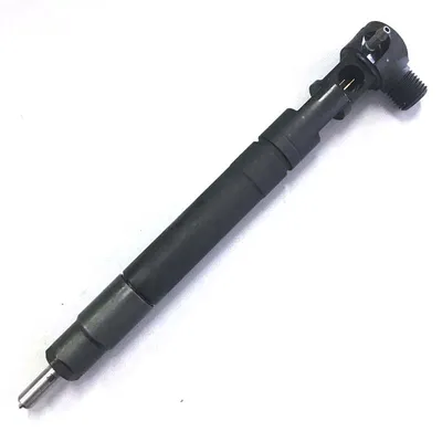 Original Diesel Common Rail Injector 6710170121 A6710170121 Embr00301d for Ssangyong Korrando C200