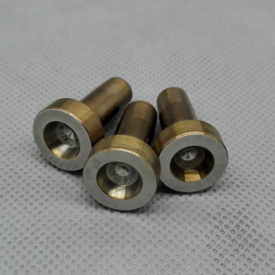 Premium-China-Made-Diesel-Injectors-with-334-Valve-Cap