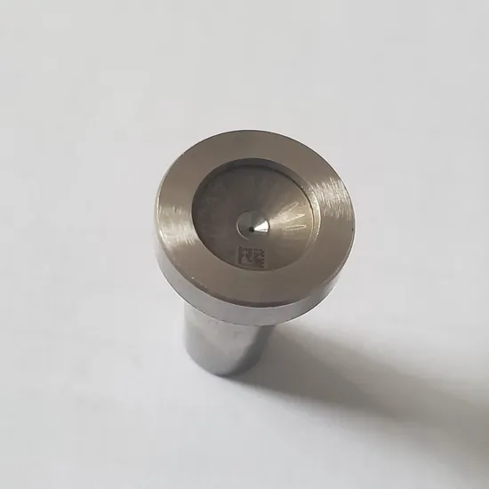 Premium-Common-Rail-Control-Valve-Seat-334-for-0445110-Injector