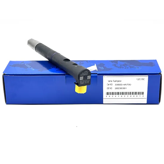 Premium Delphi 400903-00076A Fuel Injector High Performance