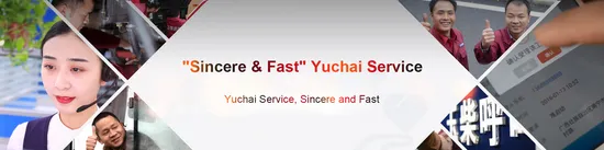 Supply-High-Quality-Yuchai-Engine-Parts-Bearing