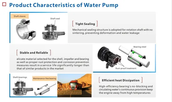 High Quality Yuchai Water Pump 6110 Parts