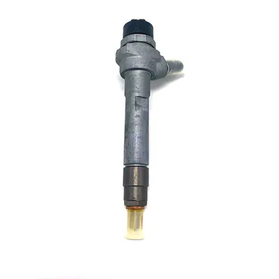 for Injector 0445111131common Rail Injector